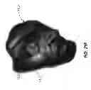 Fig. 45 - Apparel systems, wearable item systems, decor systems, and other systems and designs