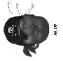 Fig. 55 - Apparel systems, wearable item systems, decor systems, and other systems and designs