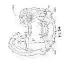 Fig. 58 - Apparel systems, wearable item systems, decor systems, and other systems and designs