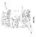 Fig. 67 - Apparel systems, wearable item systems, decor systems, and other systems and designs