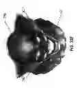Fig. 92 - Apparel systems, wearable item systems, decor systems, and other systems and designs