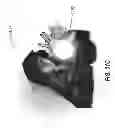 Fig. 96 - Apparel systems, wearable item systems, decor systems, and other systems and designs
