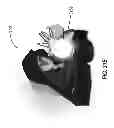 Fig. 98 - Apparel systems, wearable item systems, decor systems, and other systems and designs
