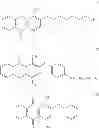 Fig. 08 - Disperse dye composition and dyeing method for hydrophobic fiber material using same