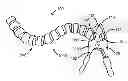 Fig. 01 - ARTICULATING RESTRAINT DEVICE