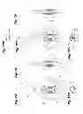 Fig. 08 - Scissors