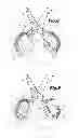 Fig. 09 - Scissors
