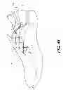 Fig. 40 - Footwear having removable motorized adjustment system