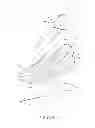 Fig. 06 - STRUCTURE OF SHOE