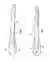 Fig. 05 - REVERSIBLE INSOLE