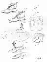 Fig. 05 - FOOTWEAR WITH MAGNETS SYSTEMS