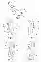 Fig. 02 - Footwear accessory