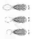 Fig. 09 - Electric iron with nozzle for water mist