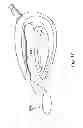 Fig. 12 - Electric iron with nozzle for water mist