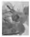 Fig. 08 - SPEED LOADER FOR LARGE CALIBER MULTI-SHOT WEAPON