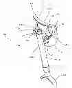 Fig. 01 - Stabilizing shooting rest apparatus and method