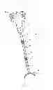 Fig. 03 - Stabilizing shooting rest apparatus and method