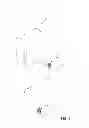 Fig. 07 - Personal Adornment