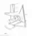 Fig. 04 - Delta robot with omni wheeled base