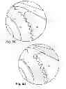 Fig. 10 - Reversible ratcheting tool with dual pawls