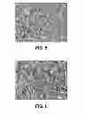Fig. 05 - Venting assembly and microporous membrane composite