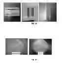 Fig. 08 - Bacterial cellulose based ‘green’ composites