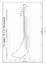 Fig. 16 - Accelerating curing and improving the physical properties of pozzolanic and cementitious-based material
