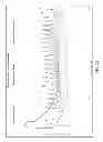Fig. 23 - Accelerating curing and improving the physical properties of pozzolanic and cementitious-based material
