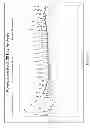 Fig. 25 - Accelerating curing and improving the physical properties of pozzolanic and cementitious-based material