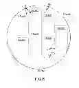 Fig. 07 - Plane orientation of crystalline structures