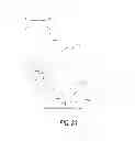 Fig. 19 - Animal training device and methods therefor