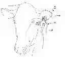 Fig. 01 - Insecticide strip and combination with identification ear tag