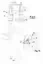 Fig. 04 - Insecticide strip and combination with identification ear tag