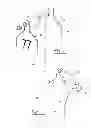 Fig. 07 - Insecticide strip and combination with identification ear tag