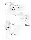 Fig. 08 - Insecticide strip and combination with identification ear tag