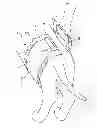 Fig. 01 - Absorbent article for pet