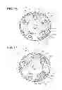 Fig. 10 - Valve timing control apparatus