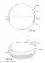 Fig. 03 - Combustion chamber constructions for opposed-piston engines