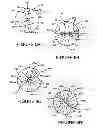 Fig. 07 - NOCK DEVICE FOR BOW