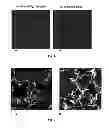 Fig. 06 - PROCESS FOR PREPARING MICRO- AND NANOCRYSTALLINE CELLULOSE