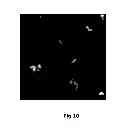 Fig. 08 - PROCESS FOR PREPARING MICRO- AND NANOCRYSTALLINE CELLULOSE