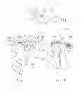 Fig. 04 - Methods and Apparatuses for Applying Eyelash Extensions