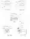Fig. 07 - Methods and Apparatuses for Applying Eyelash Extensions