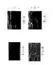 Fig. 06 - SOLAR CELL, SOLAR CELL MODULE AND METHOD OF MAKING THE SOLAR CELL