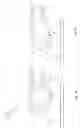 Fig. 21 - Method and means for producing textile materials comprising tape in two oblique orientations