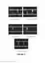 Fig. 03 - Aluminum alloy composition and method