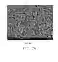 Fig. 06 - Process of making antibacterial coating and antibacterial paper with same, and antibacterial paper