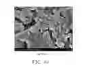 Fig. 08 - Process of making antibacterial coating and antibacterial paper with same, and antibacterial paper
