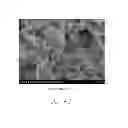 Fig. 09 - Process of making antibacterial coating and antibacterial paper with same, and antibacterial paper