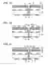 Fig. 08 - Wiring substrate